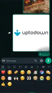 WhatsApp Messenger Screenshot 3