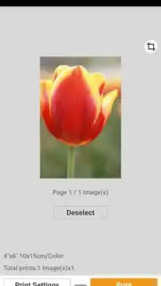 Canon PRINT Inkjet/SELPHY Screenshot 3