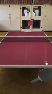 Table Tennis Touch Screenshot 5