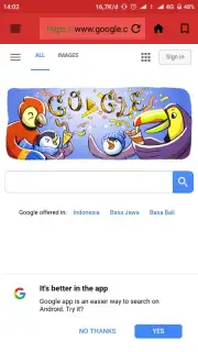 X Web Browser Screenshot 2