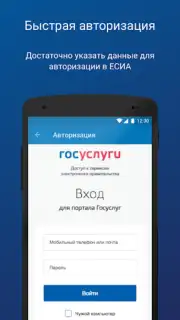 ПФР Электронные сервисы Screenshot 6