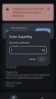 APatch Screenshot 8