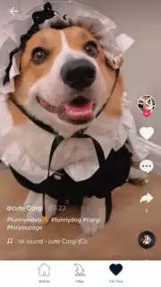 Downloader for TikTok Screenshot 1