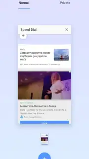 Opera Browser Screenshot 13