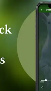 Goat Sounds Screenshot 6