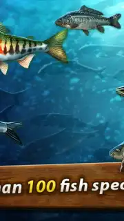 Gone Fishing: Trophy Catch Screenshot 8