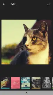 POMELO Camera Screenshot 1