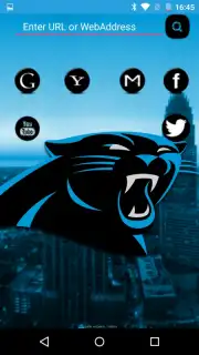 Chetah Browser Screenshot 1