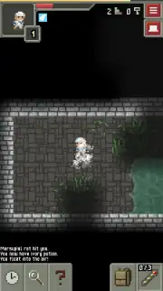 Remixed Pixel Dungeon Screenshot 7