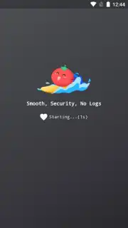 VPN Tomato Screenshot 6