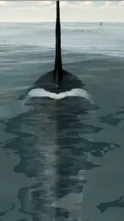 Orca Simulator Screenshot 5