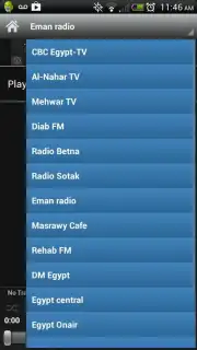 Egyptian Radio Screenshot 2
