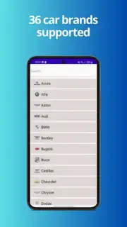 Apple Car Play Screenshot 4