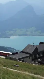 NoteCam Lite Screenshot 2