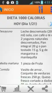 Diets for losing weight Screenshot 15