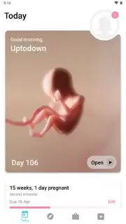 Pregnancy + Screenshot 1