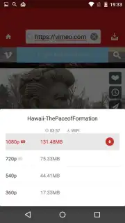 Paris Video Downloader Screenshot 6