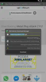 IDM Screenshot 2
