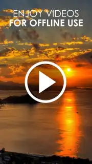 HD Video Downloader Free Screenshot 1