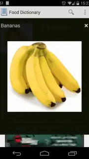 Food Dictionary Screenshot 2