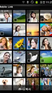 MobileLink Screenshot 3