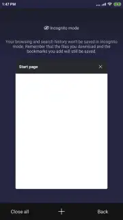 Mint Browser Screenshot 6