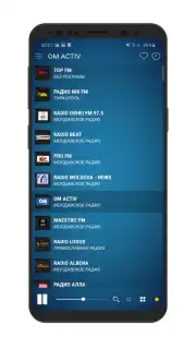 Radio Moldova Screenshot 4
