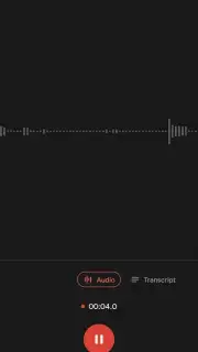Google Recorder Screenshot 4