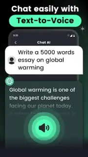 AI Chat Screenshot 2