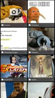 Vertical Gallery Screenshot 1