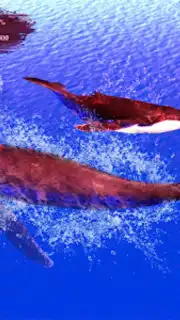The Humpback Whales Screenshot 6