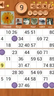 Loto Online Screenshot 6