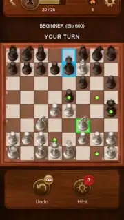 Chess Screenshot 7