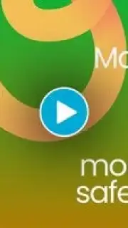 Midori Browser Screenshot 1