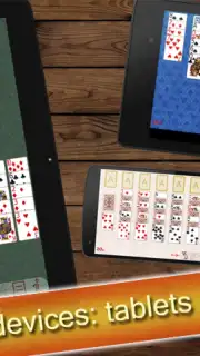 Solitaire Collection Screenshot 11