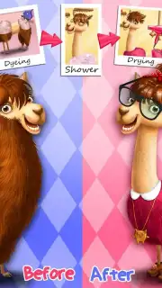 Animal Hair Salon Screenshot 4