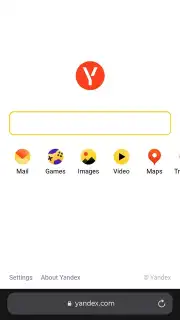 Yandex Browser (alpha) Screenshot 14