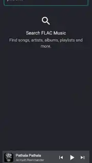 FLAC Music Screenshot 1