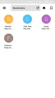 X Web Browser Screenshot 3