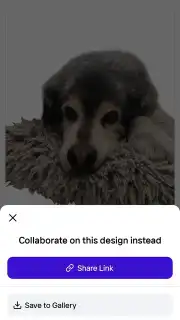 PhotoRoom Screenshot 8