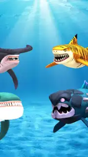 My Shark Show Screenshot 7