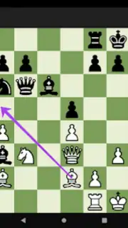 Chess Tactics Pro Screenshot 8