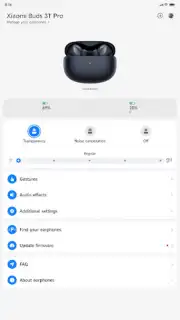 Xiaomi Earbuds Screenshot 2