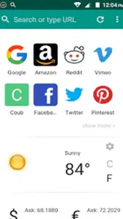 India Browser Screenshot 4
