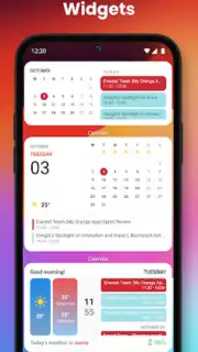 iOS Widgets Screenshot 3