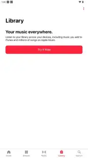 Apple Music Screenshot 7