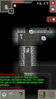 ReMake Pixel Dungeon Screenshot 2