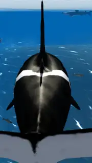 Orca Simulator Screenshot 3
