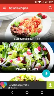 Salad Recipes FREE Screenshot 5