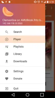 Clementine Remote Screenshot 6